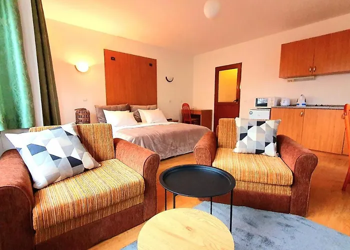 Kokiche Private 3* Borowec